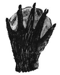 Торпи - pic_23.jpg