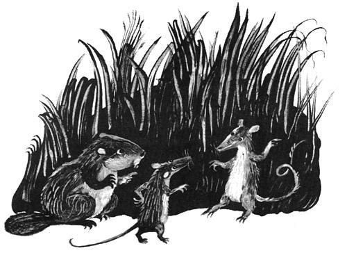 Торпи - pic_26.jpg