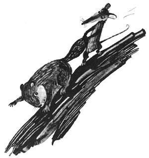 Торпи - pic_31.jpg