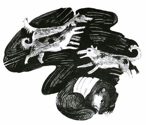 Торпи - pic_37.jpg