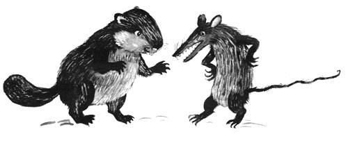 Торпи - pic_41.jpg