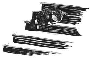 Торпи - pic_42.jpg