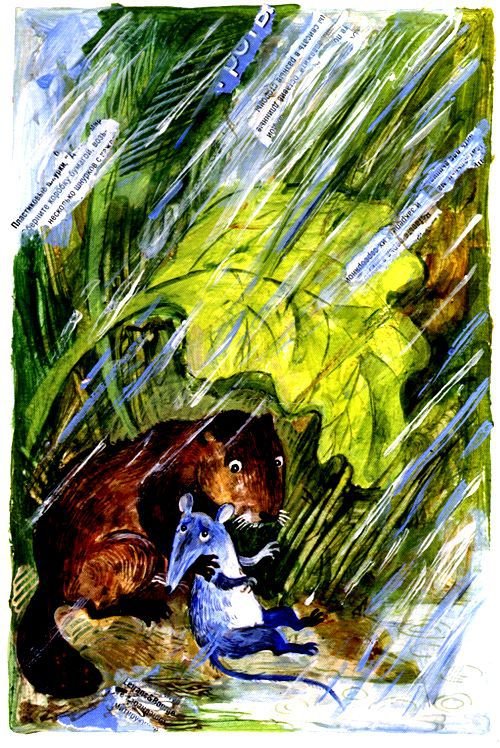 Торпи - pic_45.jpg