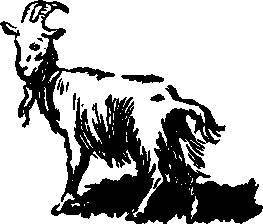 Заколдованные сокровища - _22.jpg