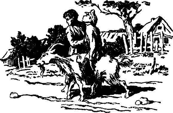 Заколдованные сокровища - _23.jpg