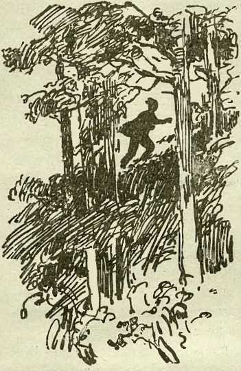 Три плова - _37.jpg