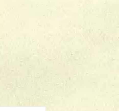 Три плова - _17.jpg