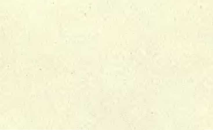 Три плова - _45.jpg