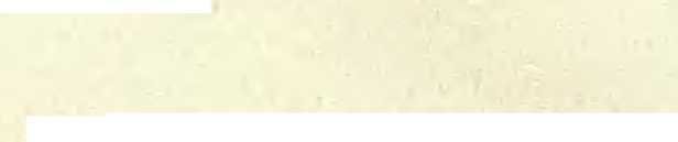 Три плова - _48.jpg