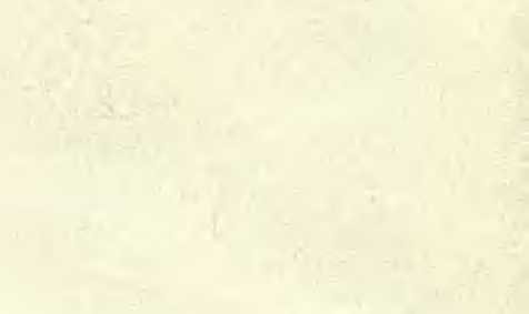 Три плова - _51.jpg