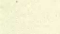 Три плова - _9.jpg