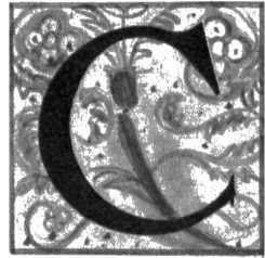 Леонардо да Винчи - _31.jpg