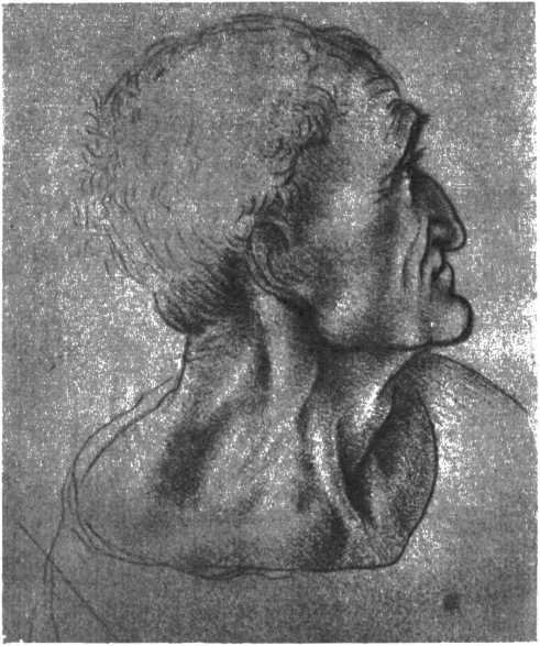 Леонардо да Винчи - _67.jpg