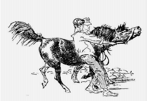 Пони Педро - i_003.png