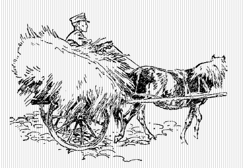 Пони Педро - i_004.png