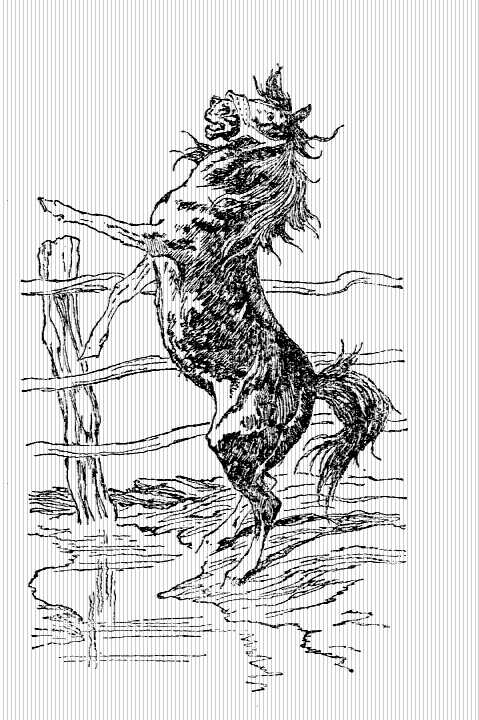 Пони Педро - i_007.png