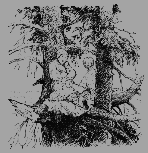 Мой товарищ - i_007.png