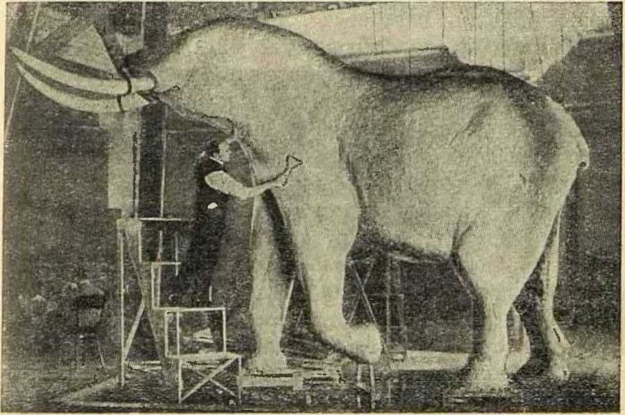 В сердце Африки - _18.jpg