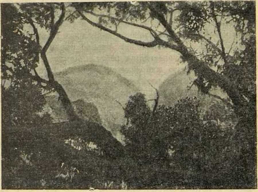 В сердце Африки - _8.jpg