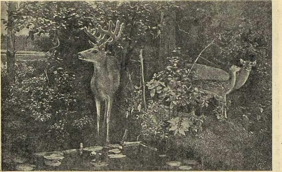 В сердце Африки - _16.jpg