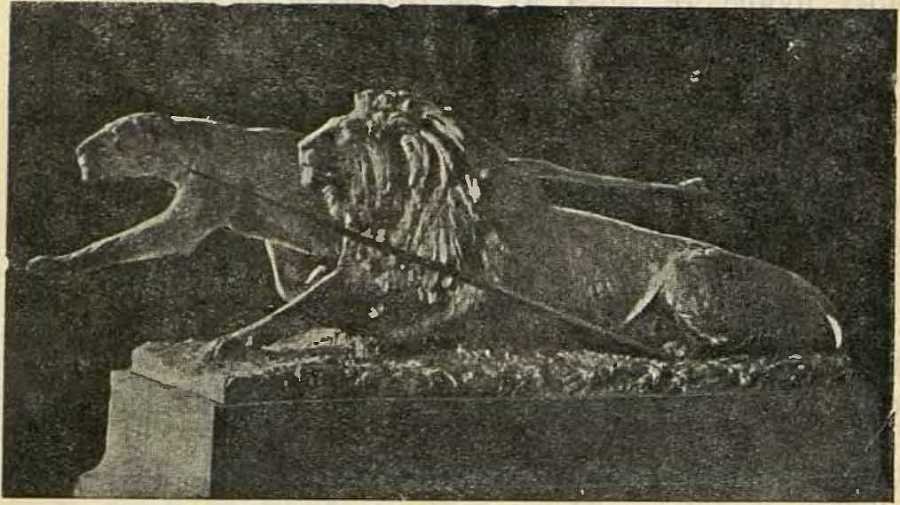 В сердце Африки - _22.jpg