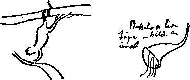 Таинственные явления человеческой психики - _33.jpg