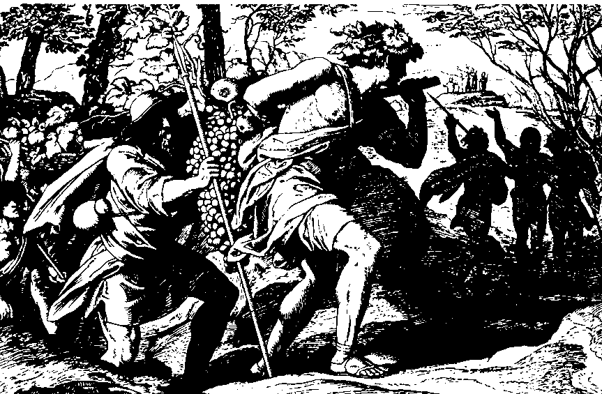 Мифы и легенды народов мира. Библейские сказания и легенды - i_034.png