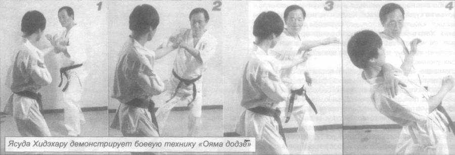 Божественный кулак Масутацу Ояма - _35.jpg