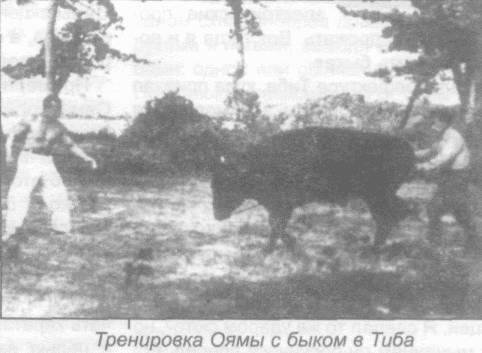 Божественный кулак Масутацу Ояма - _43.jpg