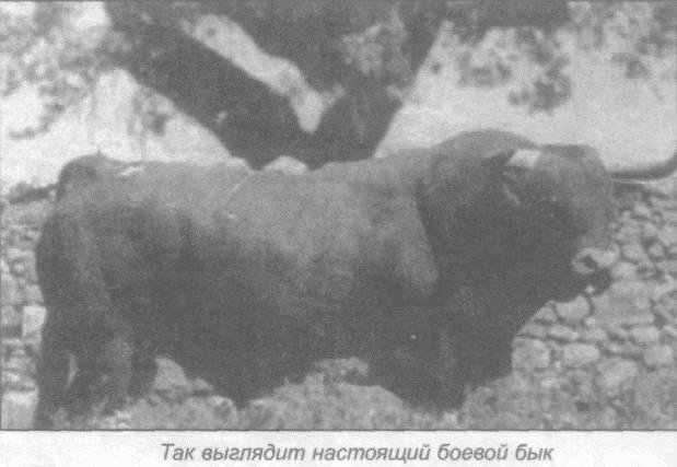 Божественный кулак Масутацу Ояма - _53.jpg