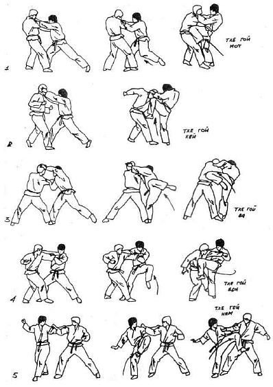 Вьетводао-Вовинам. От начинающего к черному поясу - _22.jpg