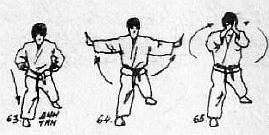 Вьетводао-Вовинам. От начинающего к черному поясу - _63.jpg