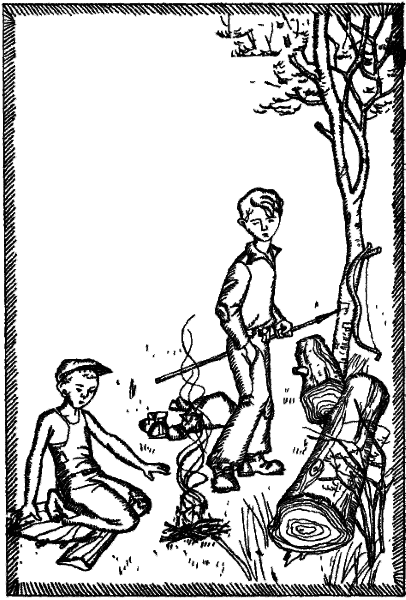 Открытия, войны, странствия адмирал-генералиссимуса и его начальника штаба на воде, на земле и под землей (первое издание) - i_024.png