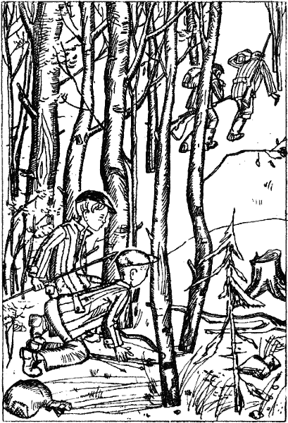 Открытия, войны, странствия адмирал-генералиссимуса и его начальника штаба на воде, на земле и под землей (первое издание) - i_028.png