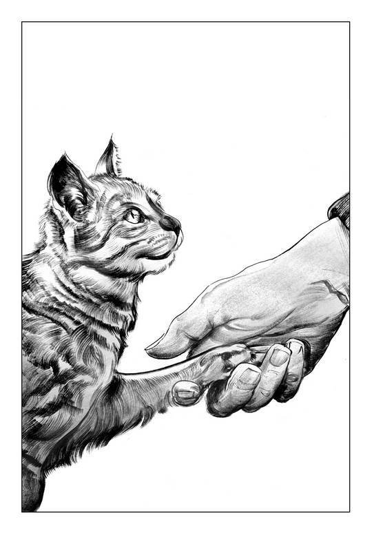 Другие миры (сборник) - i_013.jpg