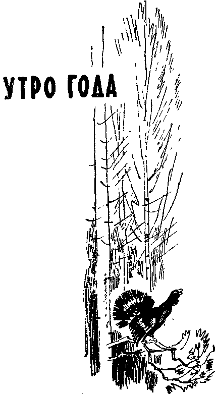 Солнечный круг - i_002.png