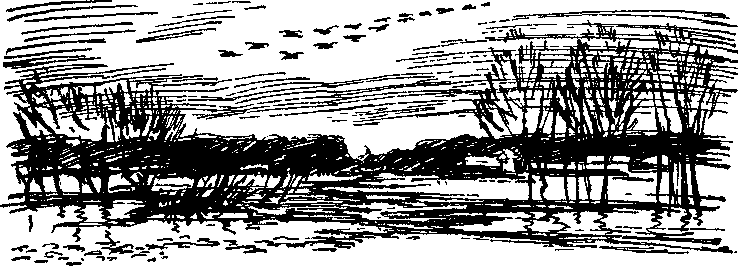 Солнечный круг - i_003.png