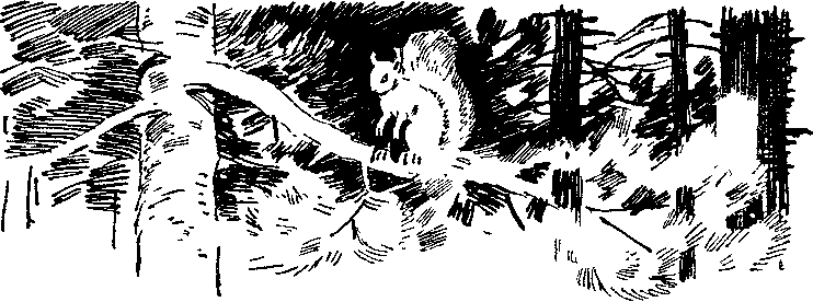 Солнечный круг - i_004.png