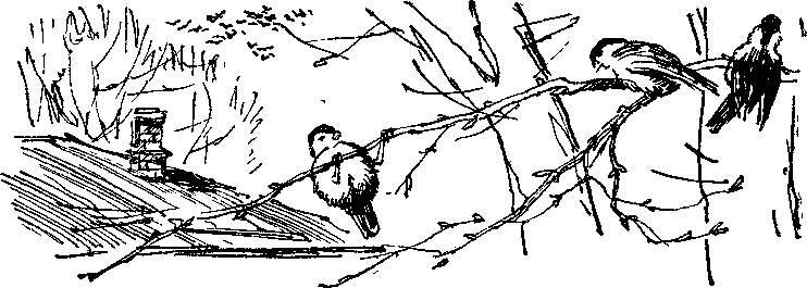 Солнечный круг - i_005.png