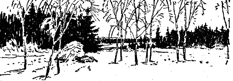 Солнечный круг - i_006.png