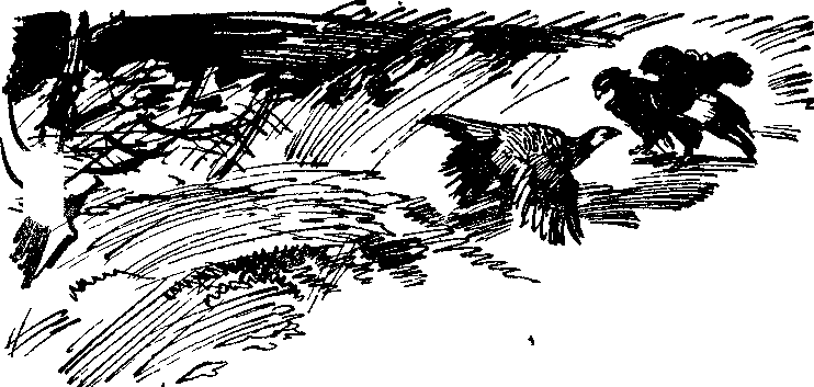 Солнечный круг - i_007.png