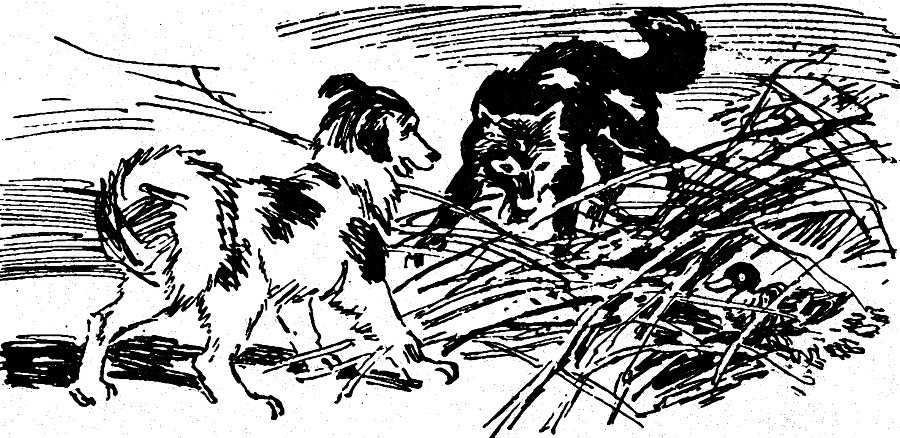 Солнечный круг - i_009.png