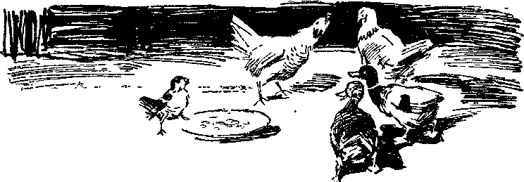 Солнечный круг - i_011.png