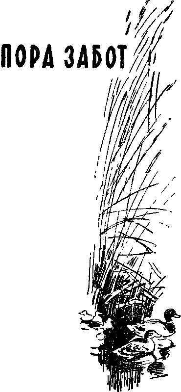 Солнечный круг - i_013.png