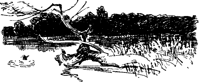 Солнечный круг - i_016.png