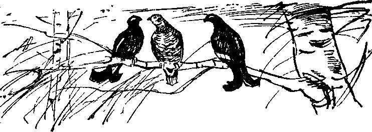 Солнечный круг - i_031.png