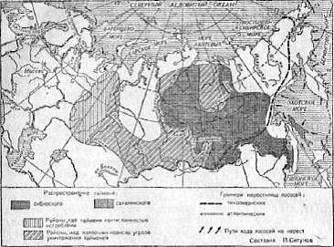 Ожерелья Джехангира - i_030.jpg