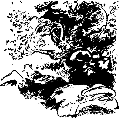 Я вернусь на рассвете - i_011.png