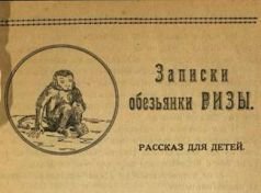 Записки обезьянки Ризы - _4.jpg