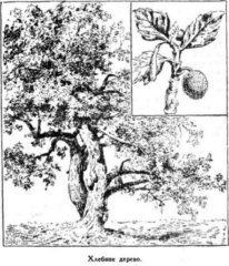 Мореплаватели XVIII века - pic_70.jpg